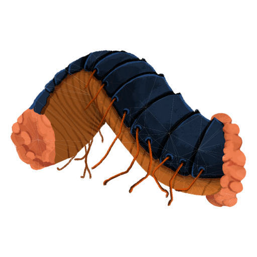 Decimillipede (3 segments)